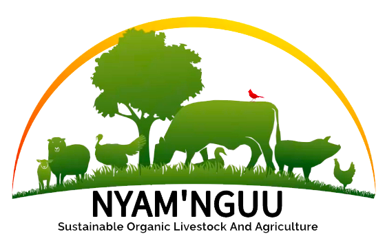 Logo Nyam Jpeg-